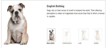Amazon A+ Content Tutorial 2020