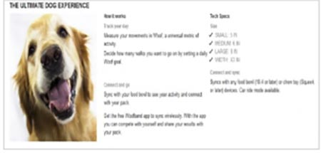 Amazon A+ Content Tutorial 2020