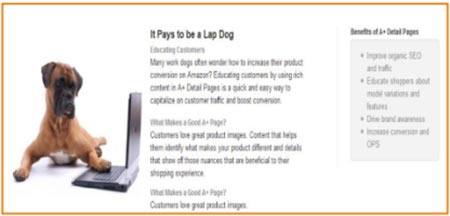 Amazon A+ Content Tutorial 2020