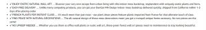 Amazon Copywriting - Natural Wall Art Moss Decorations - Bullet Points