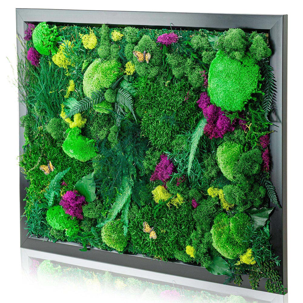 Natural Wall Art Moss Decorations - Kenji ROI